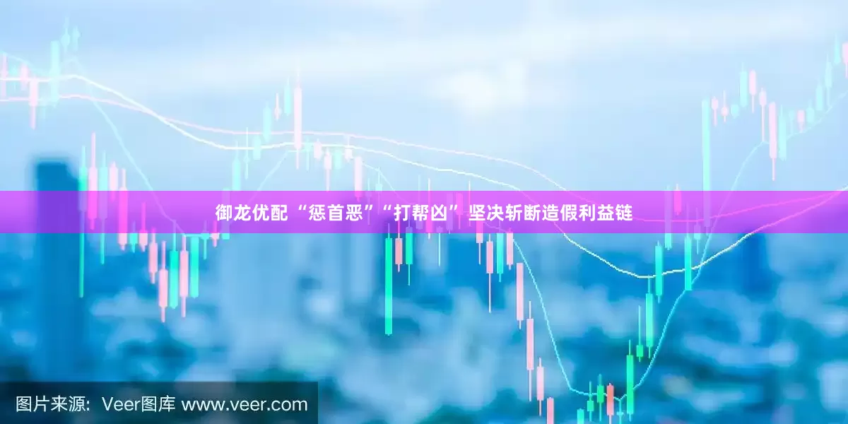 御龙优配 “惩首恶”“打帮凶” 坚决斩断造假利益链