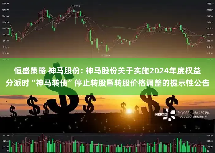 恒盛策略 神马股份: 神马股份关于实施2024年度权益分派时“神马转债”停止转股暨转股价格调整的提示性公告